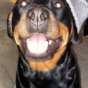 Meet your Posher, Ginny